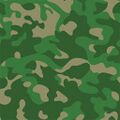2026年9月11日 (五) 19:00版本的缩略图