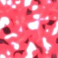 2026年9月11日 (五) 19:29版本的缩略图