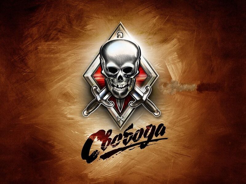 文件:238851 stalker-skull-swords-background-freedom p.jpg