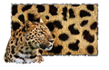 2026年9月11日 (五) 17:41版本的缩略图