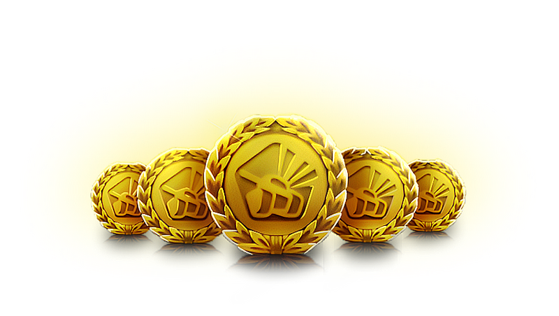 文件:Medal of Merit banner.png