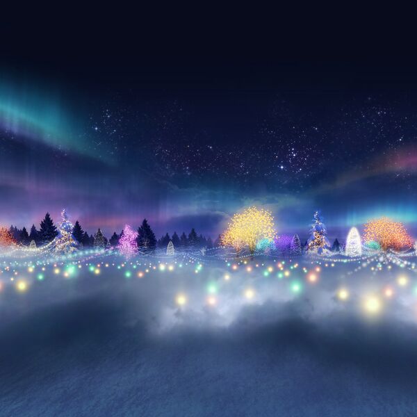 文件:Skybox newyear2.jpg