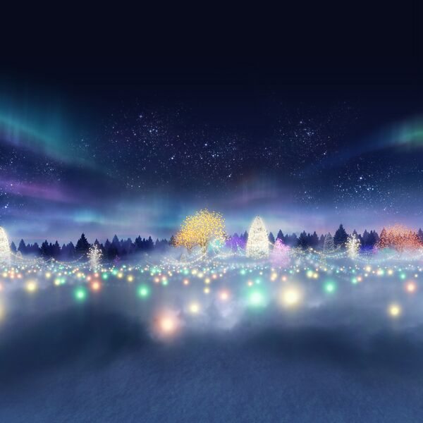 文件:Skybox newyear4.jpg